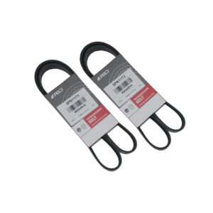 Correas Poly V - 5PK1173-FIAT PALIO/UNO/FIORINO 1.4 EVO//FIAT SIENA/IDEA/IDEA ADVENTURA 1.4 FIRE//FIAT MOBI 1.0 FIRE