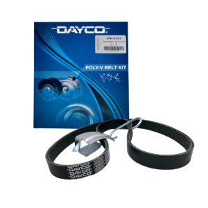 Correas Poly V - 6PK1030ELAST-FORD ECOSPORT/ FIESTA KINETIC/ FOCUS II 1.6 SIGMA/ KA KINETIC DESING 1.5 16V SIGMA
