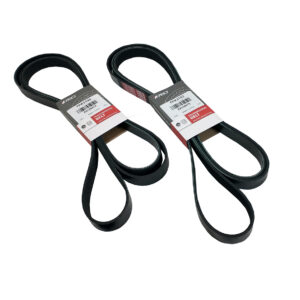 Correas Poly V - 7PK3103-FORD RANGER 3.2 TDCI DURATORQ