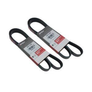 Correas Poly V - 6PK1305-FORD FOCUS II 2.0 16V