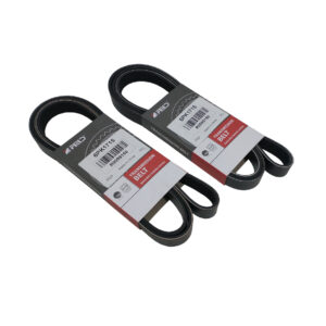 Correas Poly V - 6PK1715-FORD FOCUS 1.8 TD
