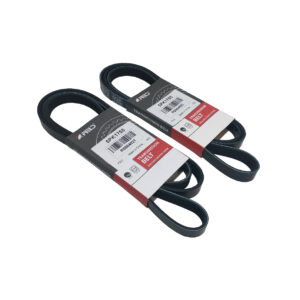 Correas Poly V - 5PK1755-RENAULT KANGOO 1.6 16V//LAND ROVER DISCOVERY 2.0